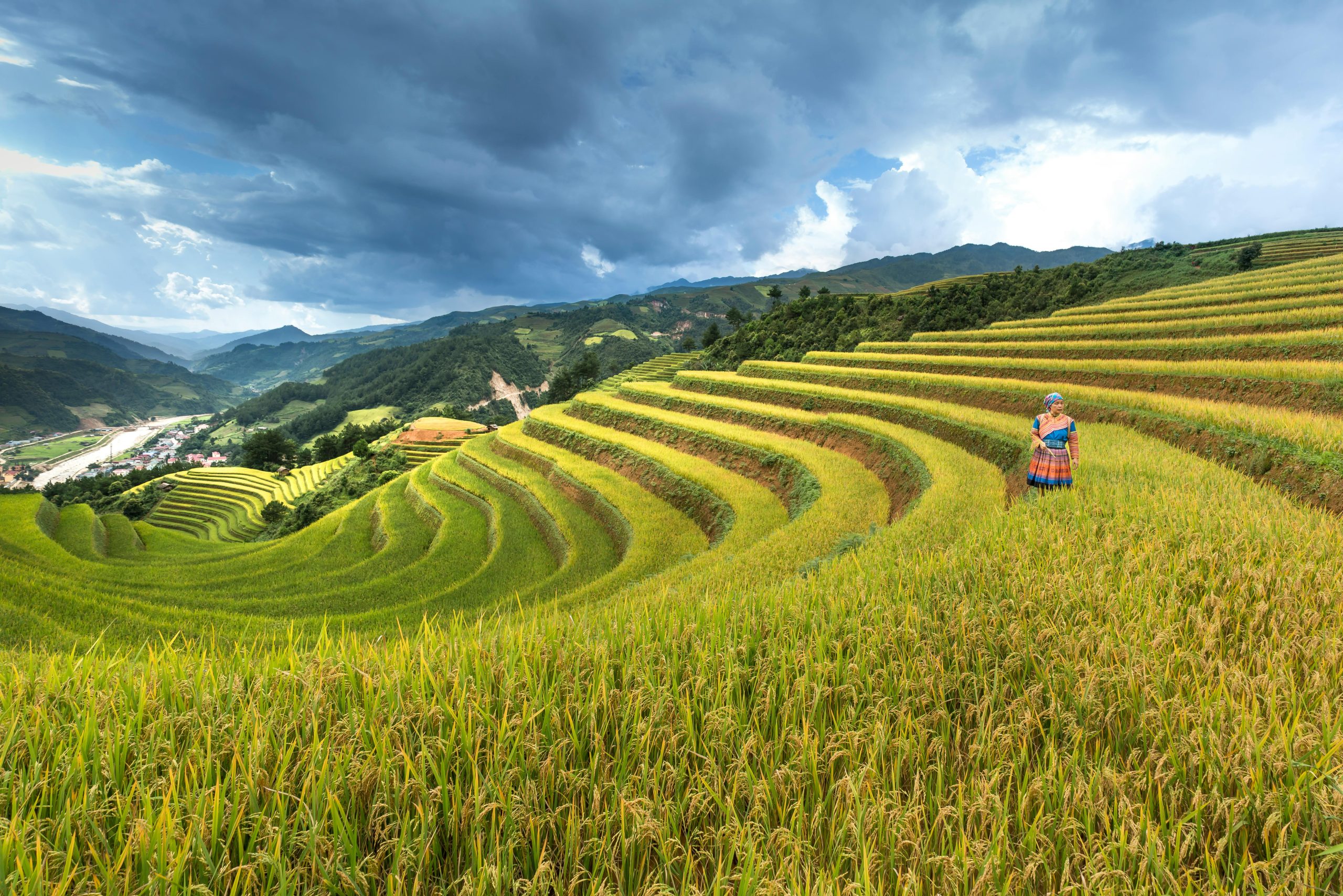 Lush terraced rice fields with a person in vibrant traditional attire under a dramatic sky.