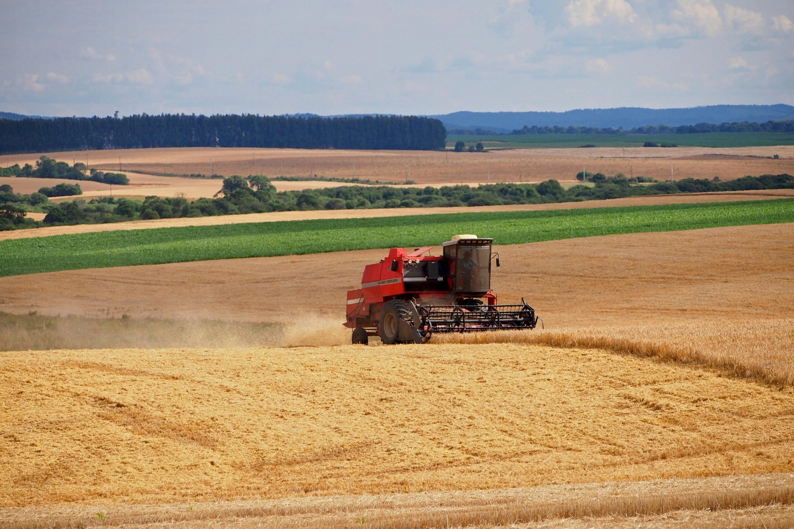 A red tractor harvesting wheat in the rural fields of Entre Rios, Brazil.